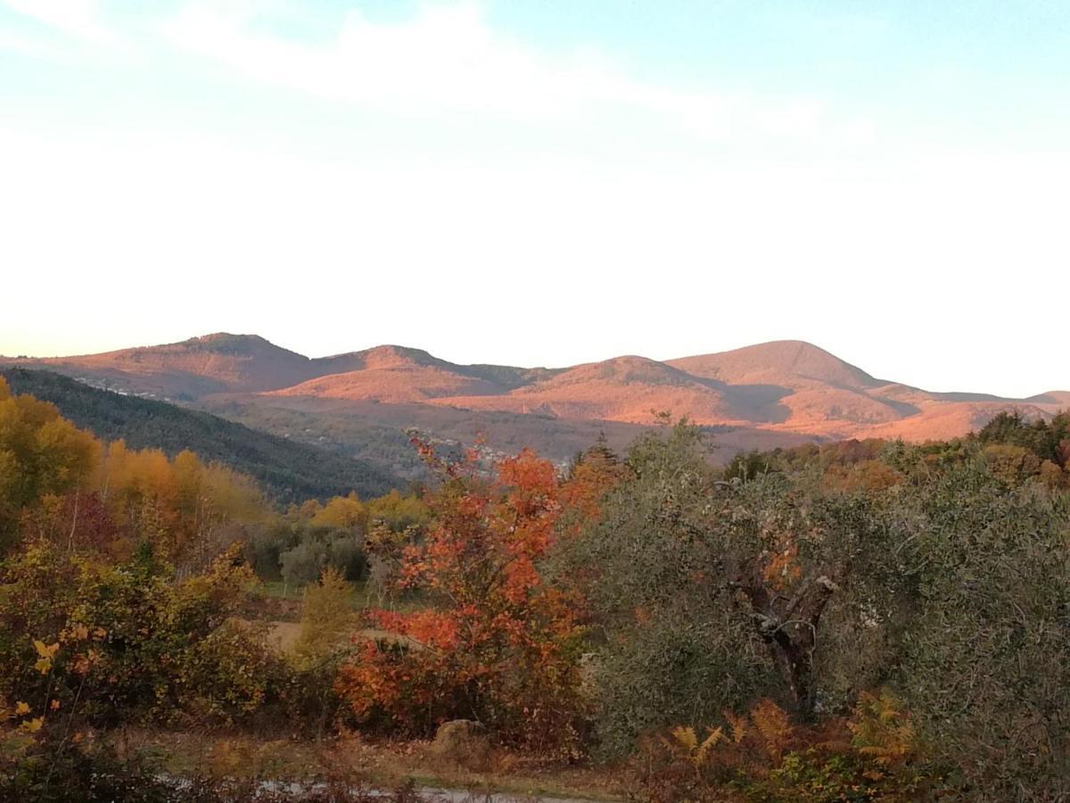 Podere Di Maggio - Glamping Tent 3 Santa Fiora Εξωτερικό φωτογραφία