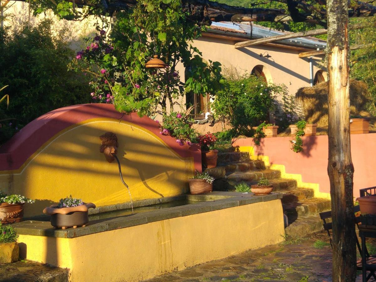 Podere Di Maggio - Glamping Tent 3 Santa Fiora Εξωτερικό φωτογραφία