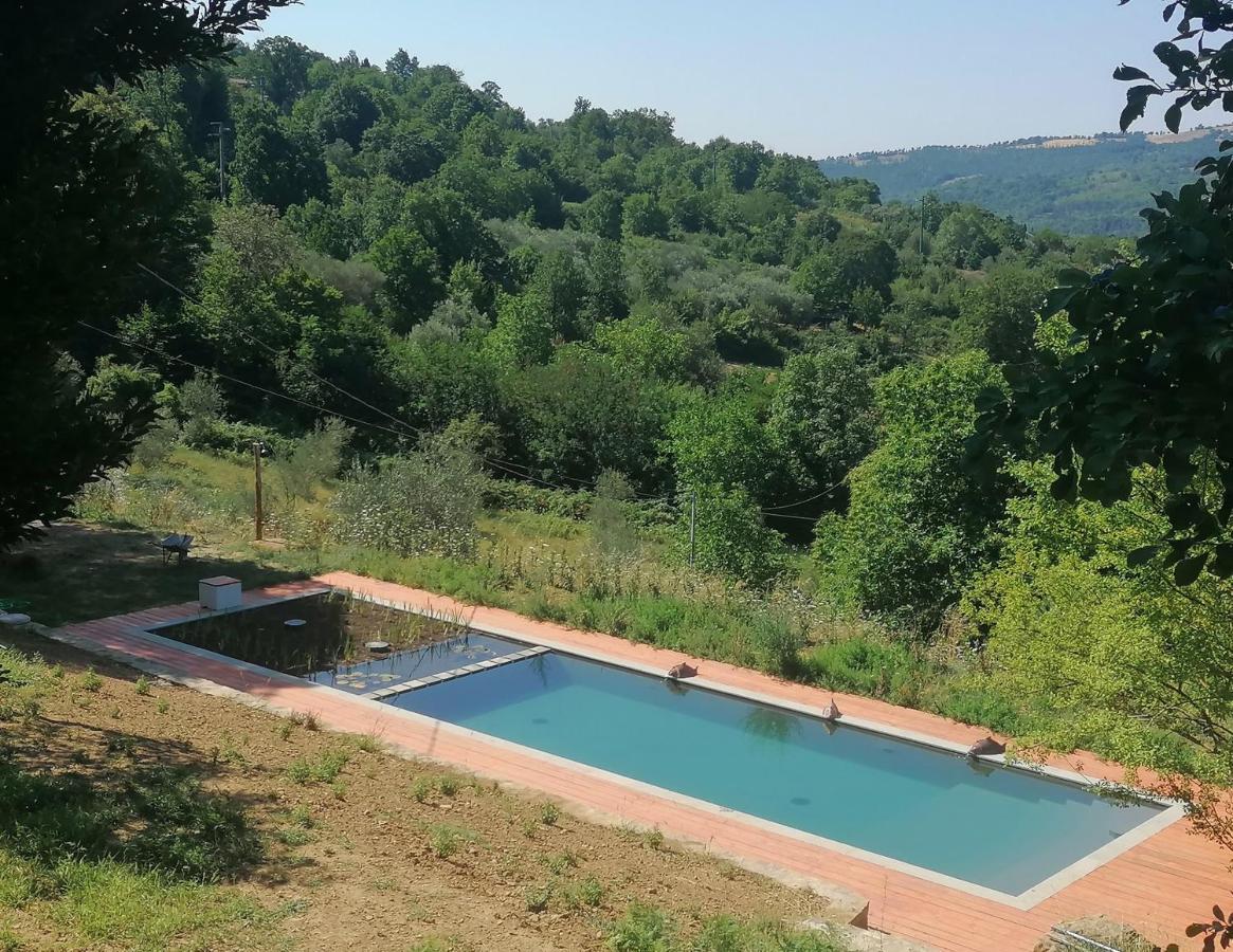 Podere Di Maggio - Glamping Tent 3 Santa Fiora Εξωτερικό φωτογραφία